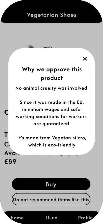 Conscious Couture Vegan Shoes